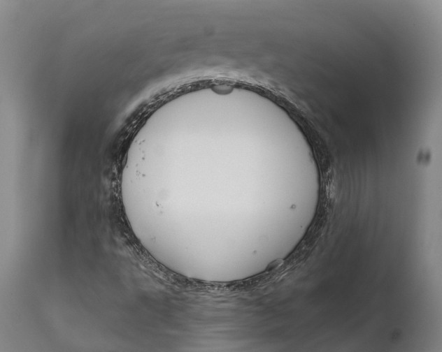 X0000111591495200908061336