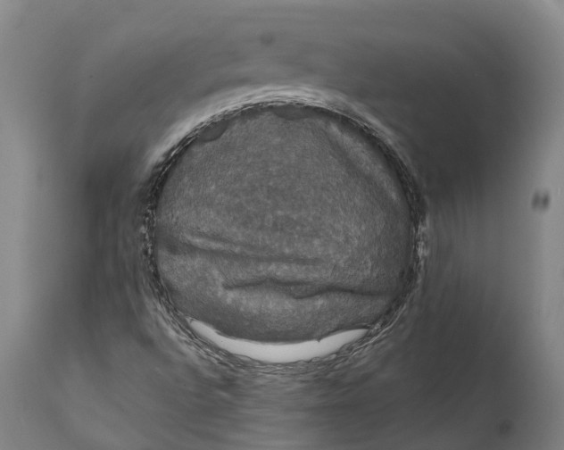 X0000111591496200908061336