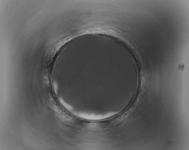 X0000111591497200908061336