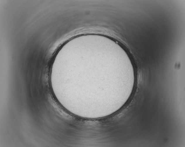 X0000111591498200908061336