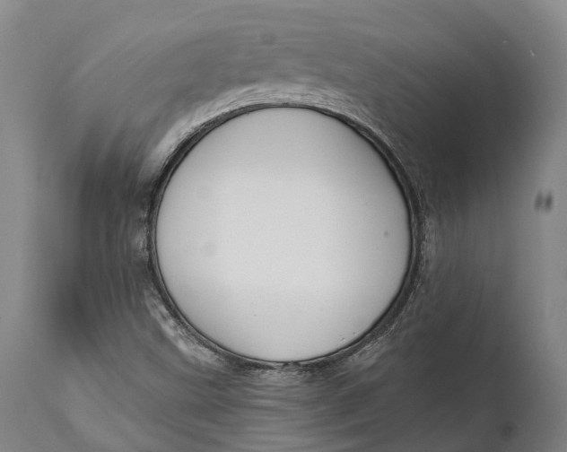 X0000111591499200908061336