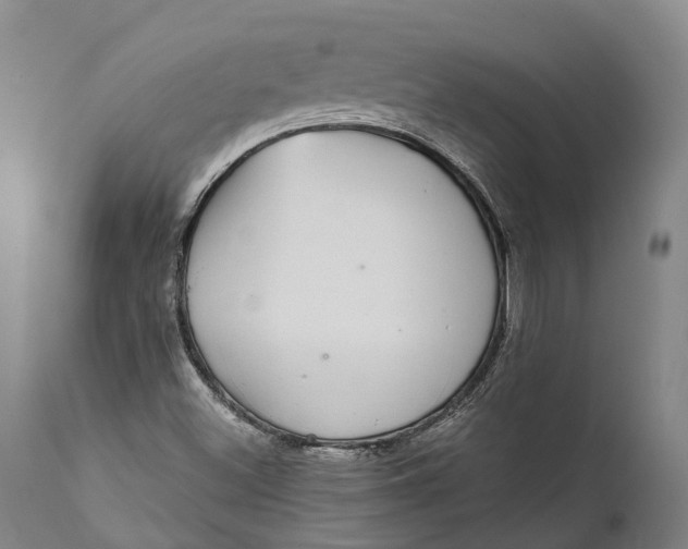 X0000111591500200908061336