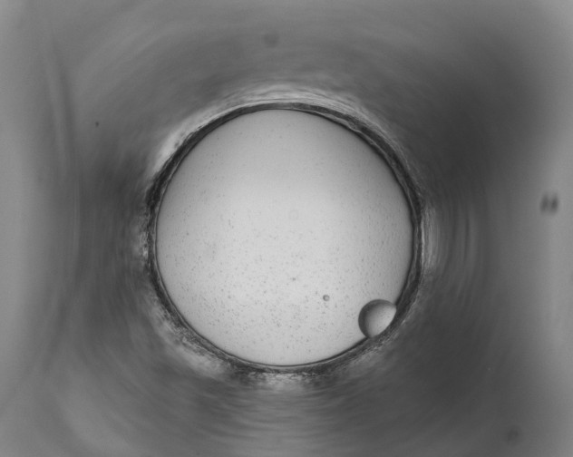 X0000111591501200908061336