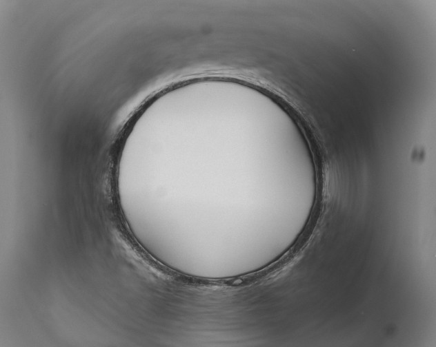 X0000111591502200908061336