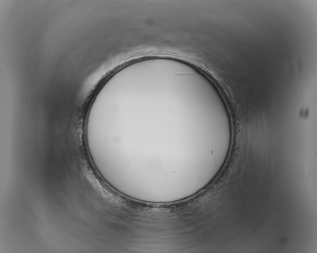 X0000111591503200908061336