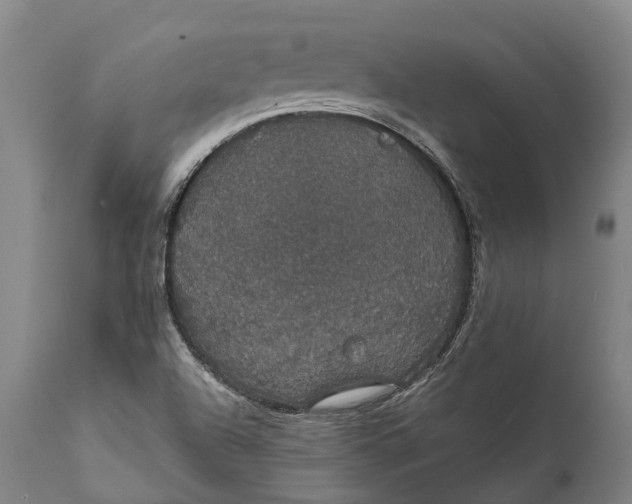 X0000111591504200908061336