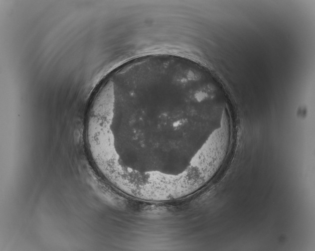 X0000111591505200908061336