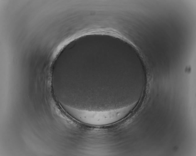 X0000111591506200908061336