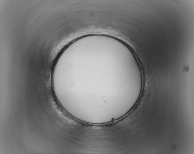 X0000111591507200908061336