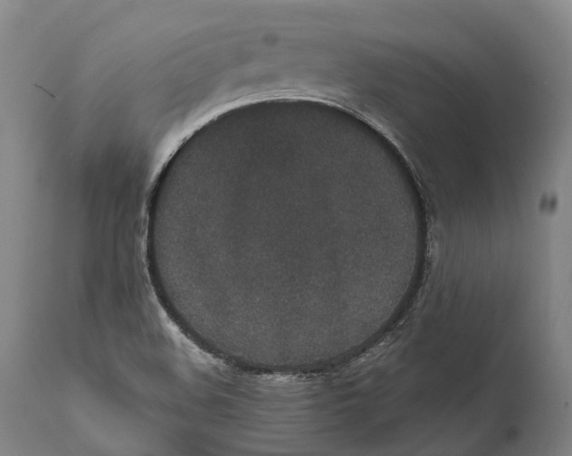 X0000111591508200908061336