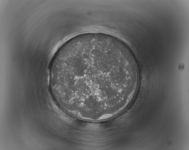 X0000111591509200908061336