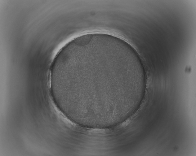 X0000111591510200908061336