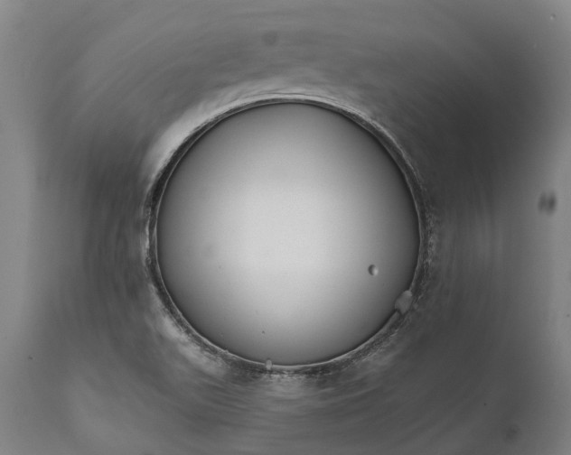 X0000111591511200908061337