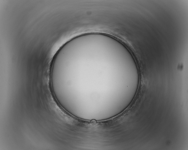 X0000111591512200908061337