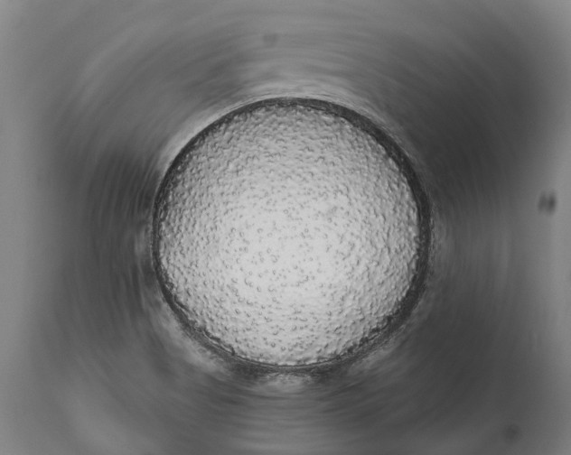 X0000111591513200908061337