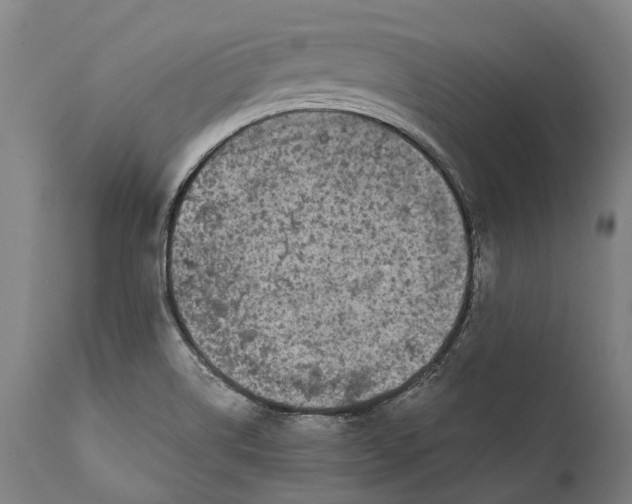 X0000111591514200908061337