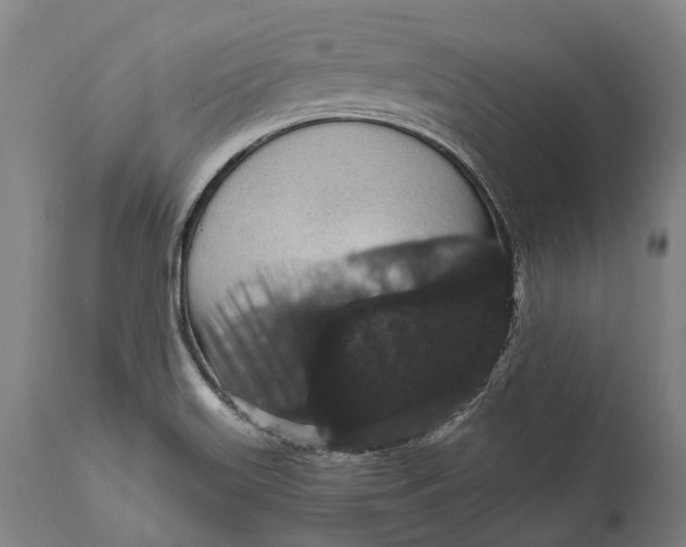 X0000111591515200908061337