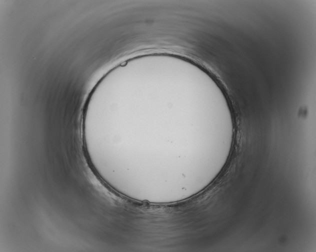 X0000111591516200908061337