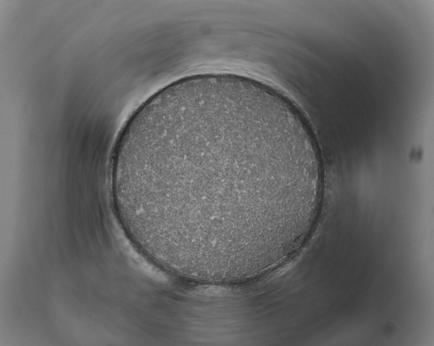 X0000111591517200908061337