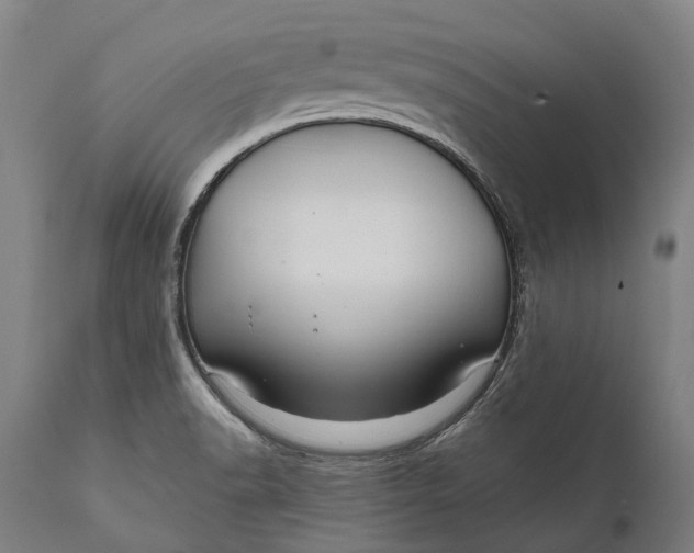 X0000111591518200908061337