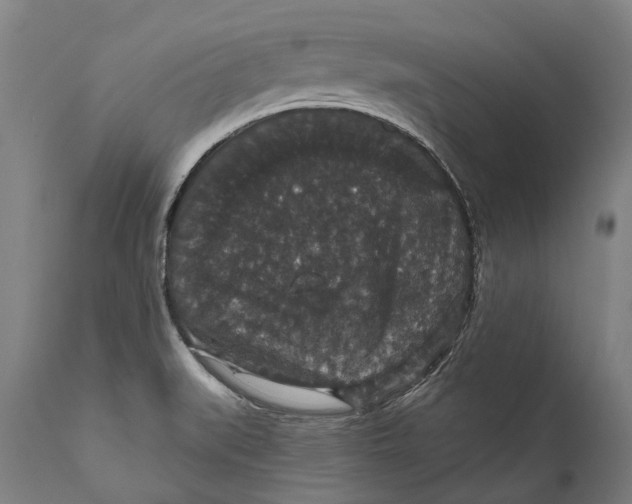 X0000111591519200908061337