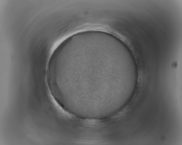 X0000111591520200908061337