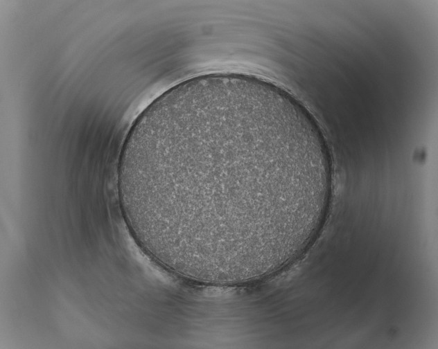 X0000111591521200908061337