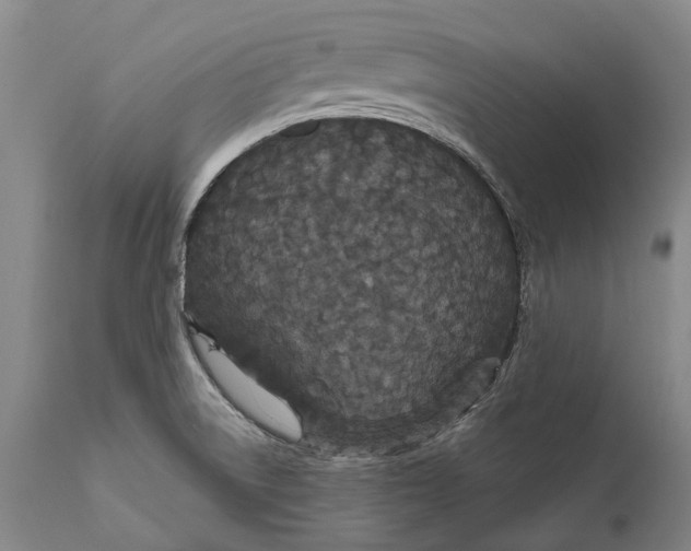 X0000111591522200908061337