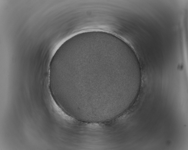 X0000111591524200908061337