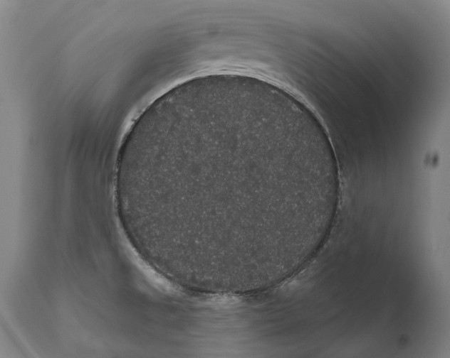 X0000111591525200908061337