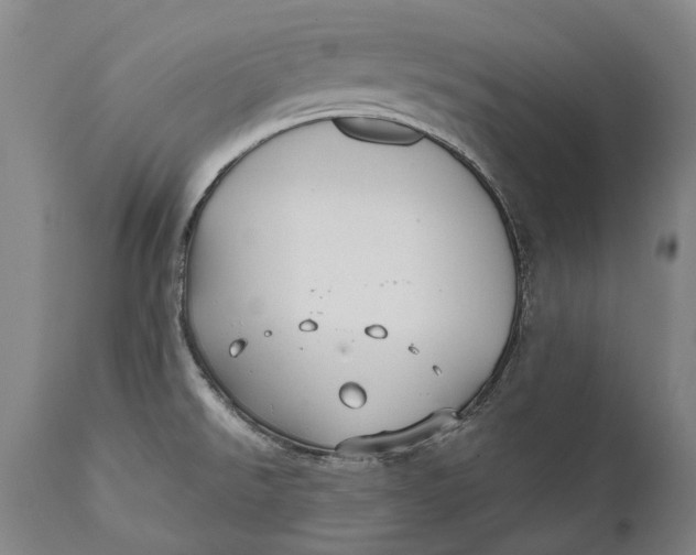 X0000111591526200908061337