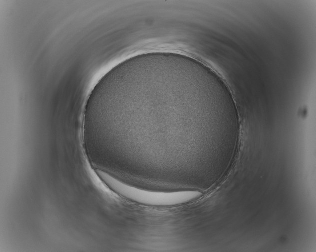 X0000111591528200908061337