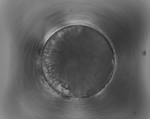 X0000111591529200908061337