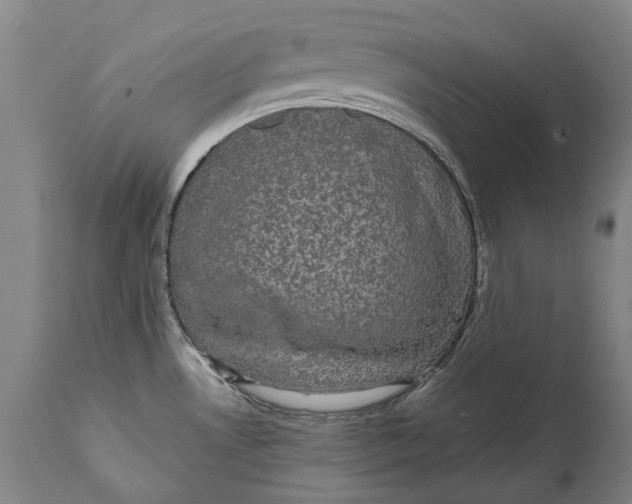 X0000111591530200908061337