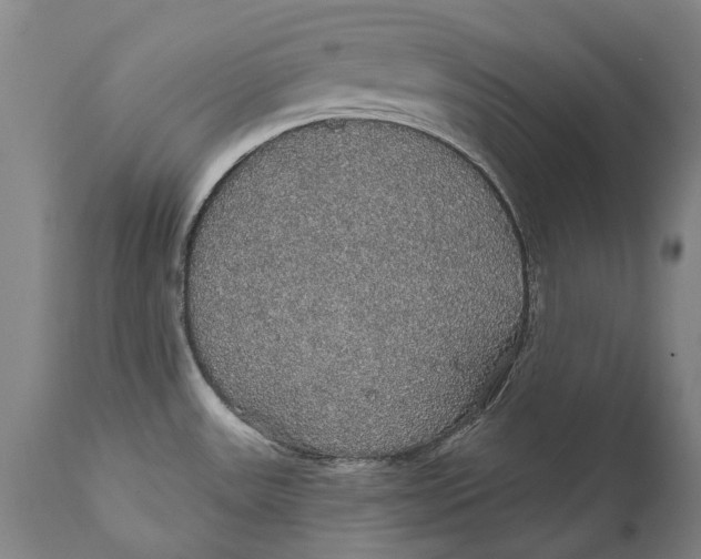 X0000111591531200908061337