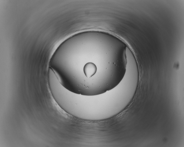 X0000111591532200908061337