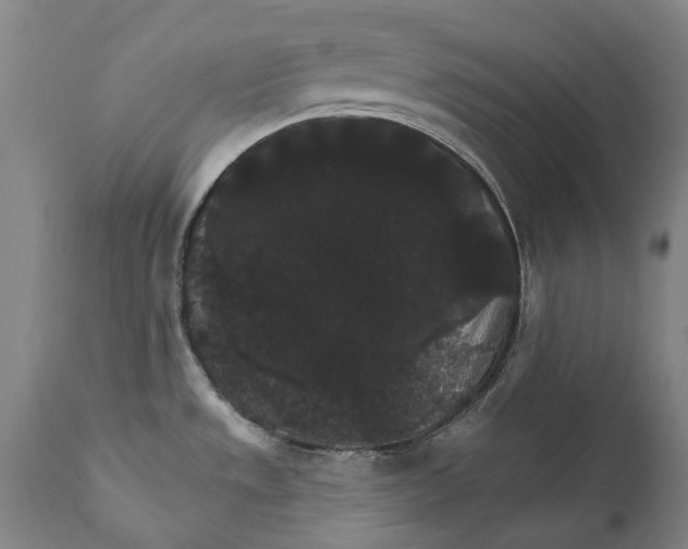 X0000111591533200908061337