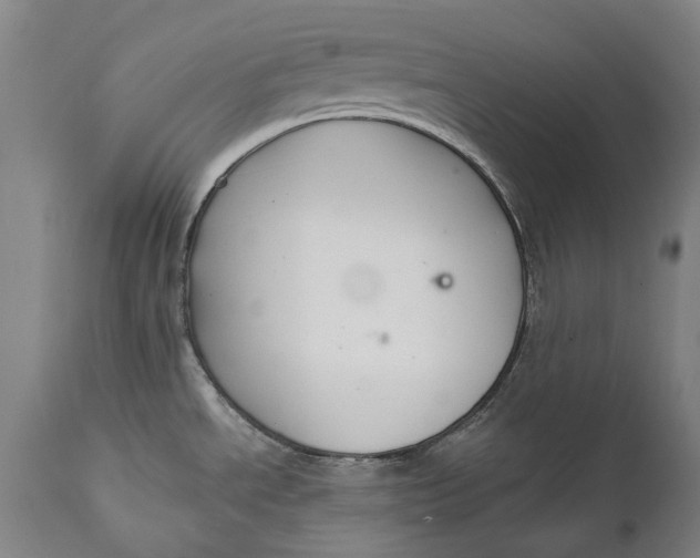 X0000111591534200908061337