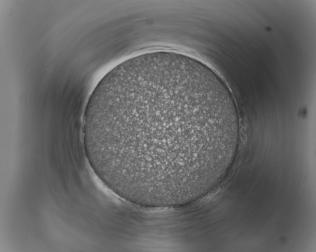 X0000111591535200908061337