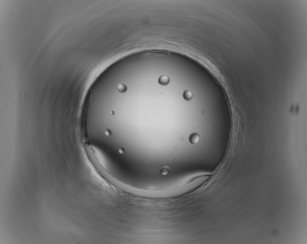 X0000111591536200908061337