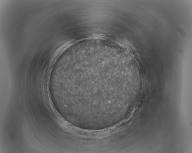 X0000111590001200908131351