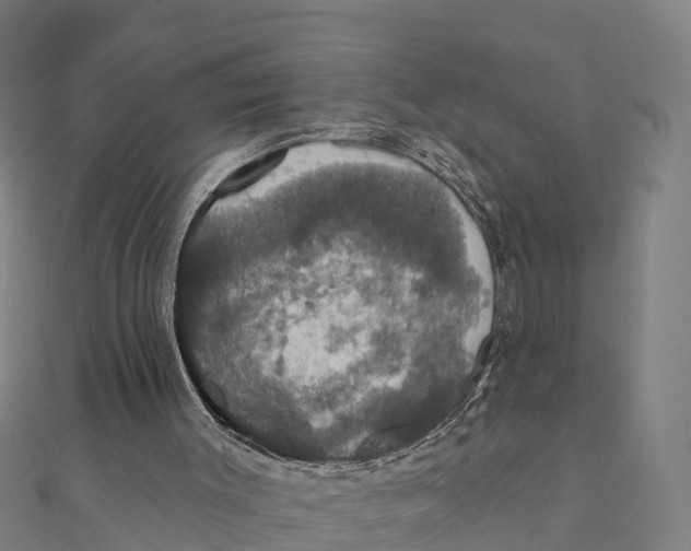 X0000111590003200908131351