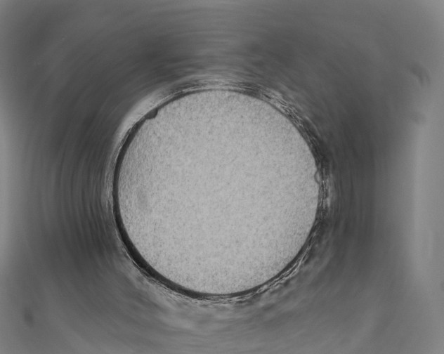 X0000111590004200908131351