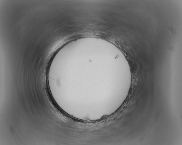 X0000111590005200908131351