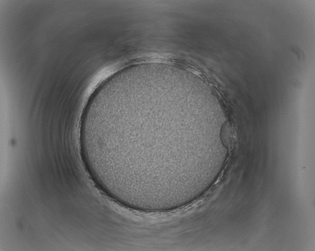 X0000111590006200908131351