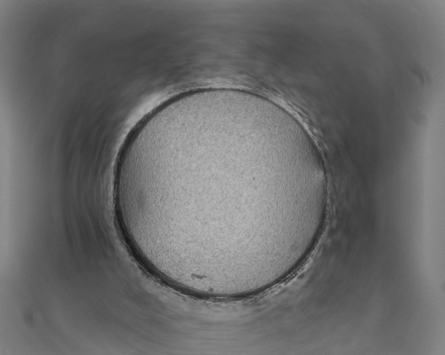 X0000111590008200908131351