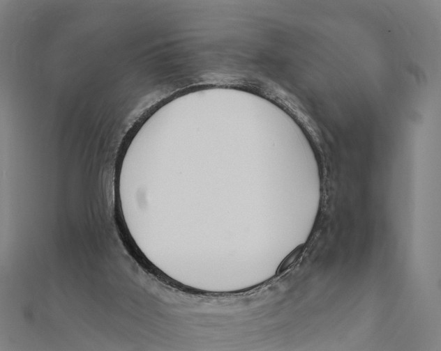 X0000111590011200908131351