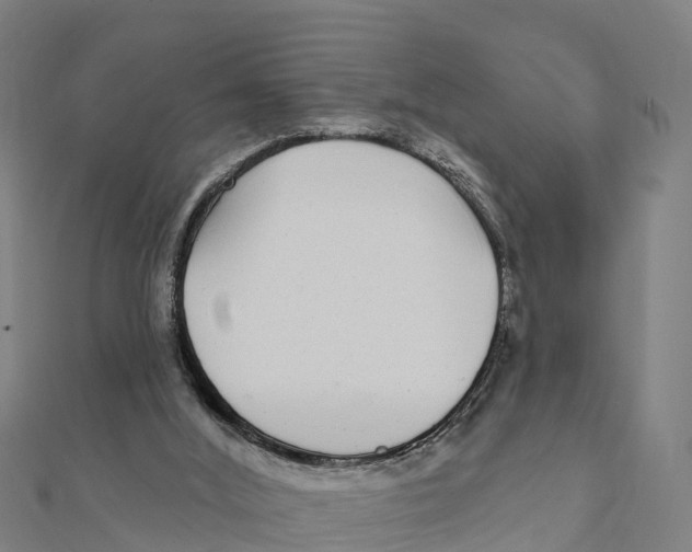 X0000111590012200908131351