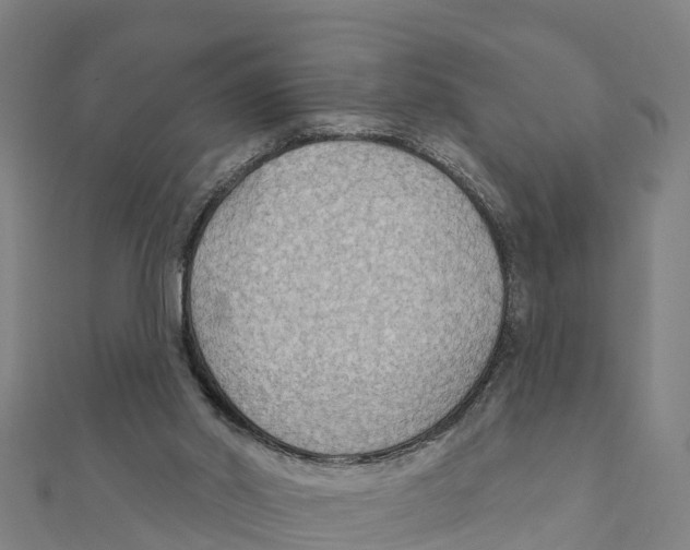 X0000111590014200908131351