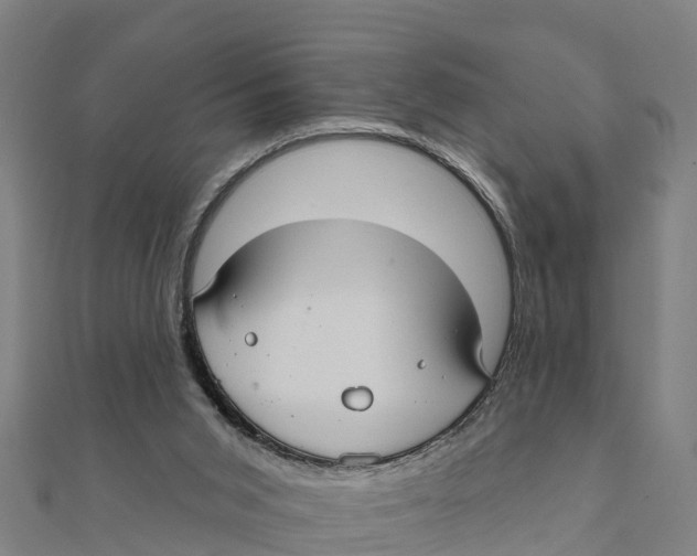 X0000111590015200908131351